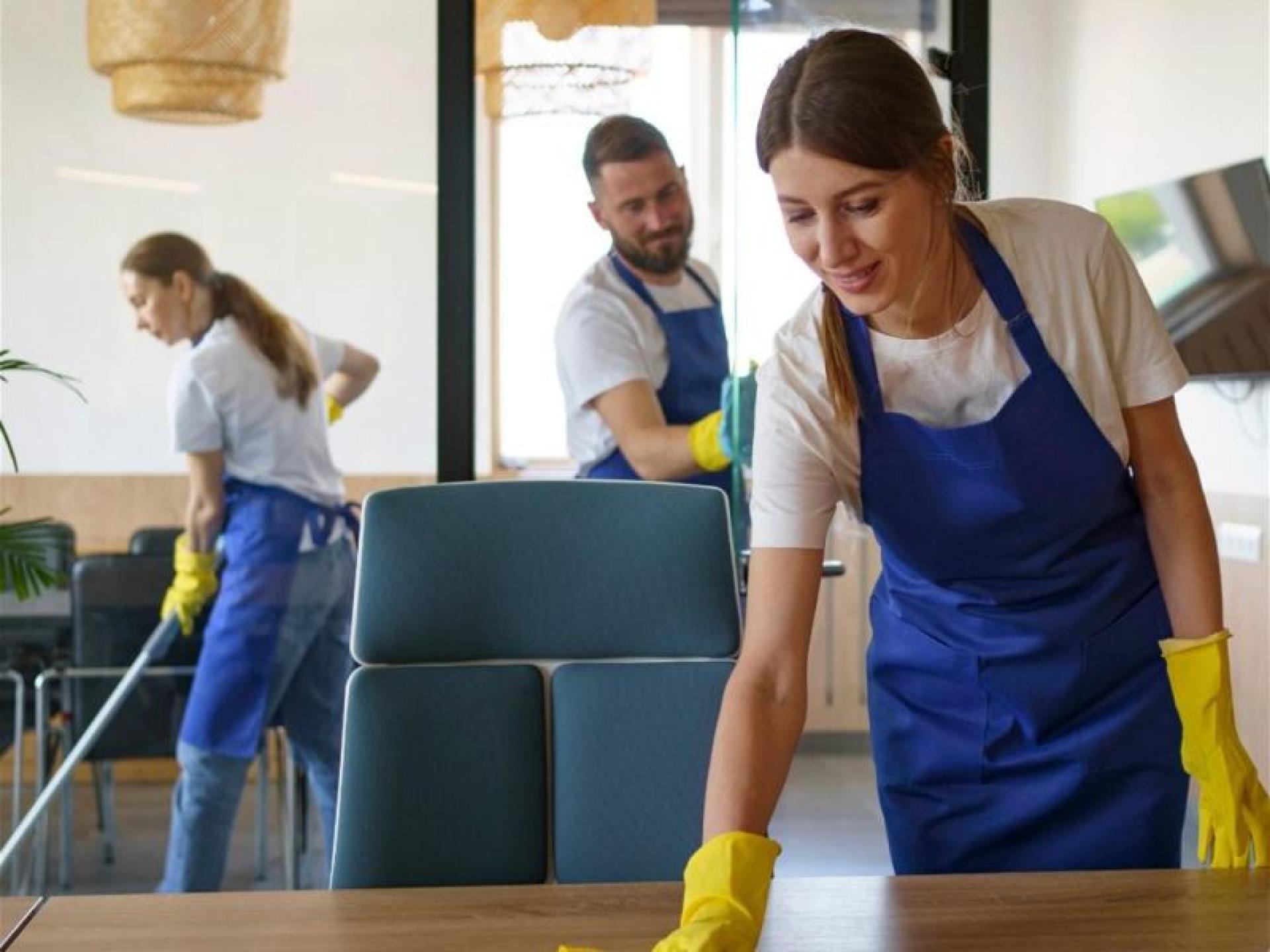Profitable Cleaning Business - 674022 1