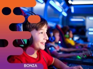 36267 - Turnkey Mobile Video Gaming Entertainment Business