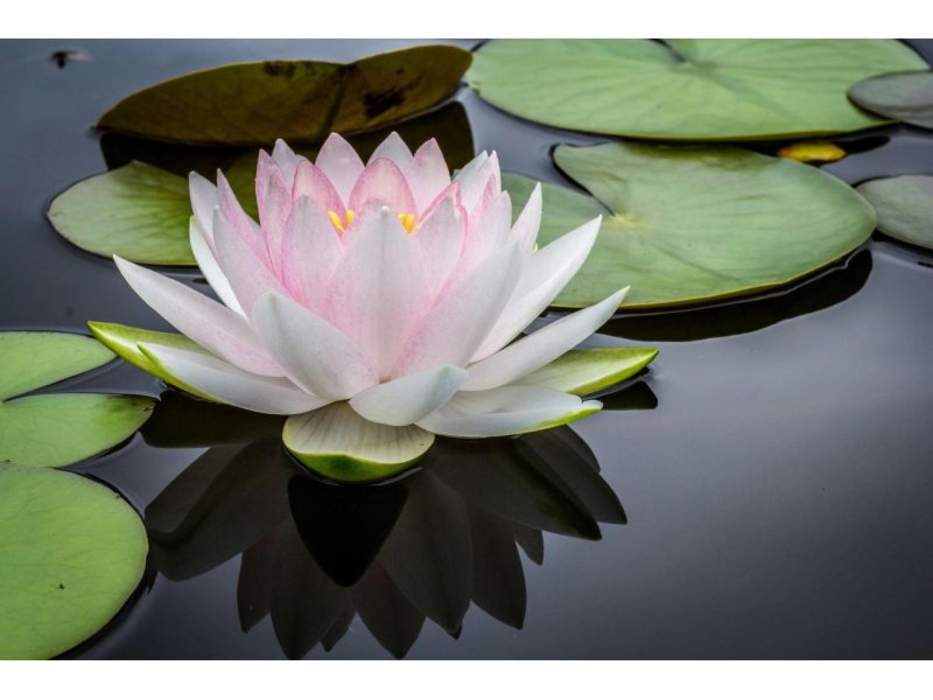 Skin & Beauty Clinic 674090 3