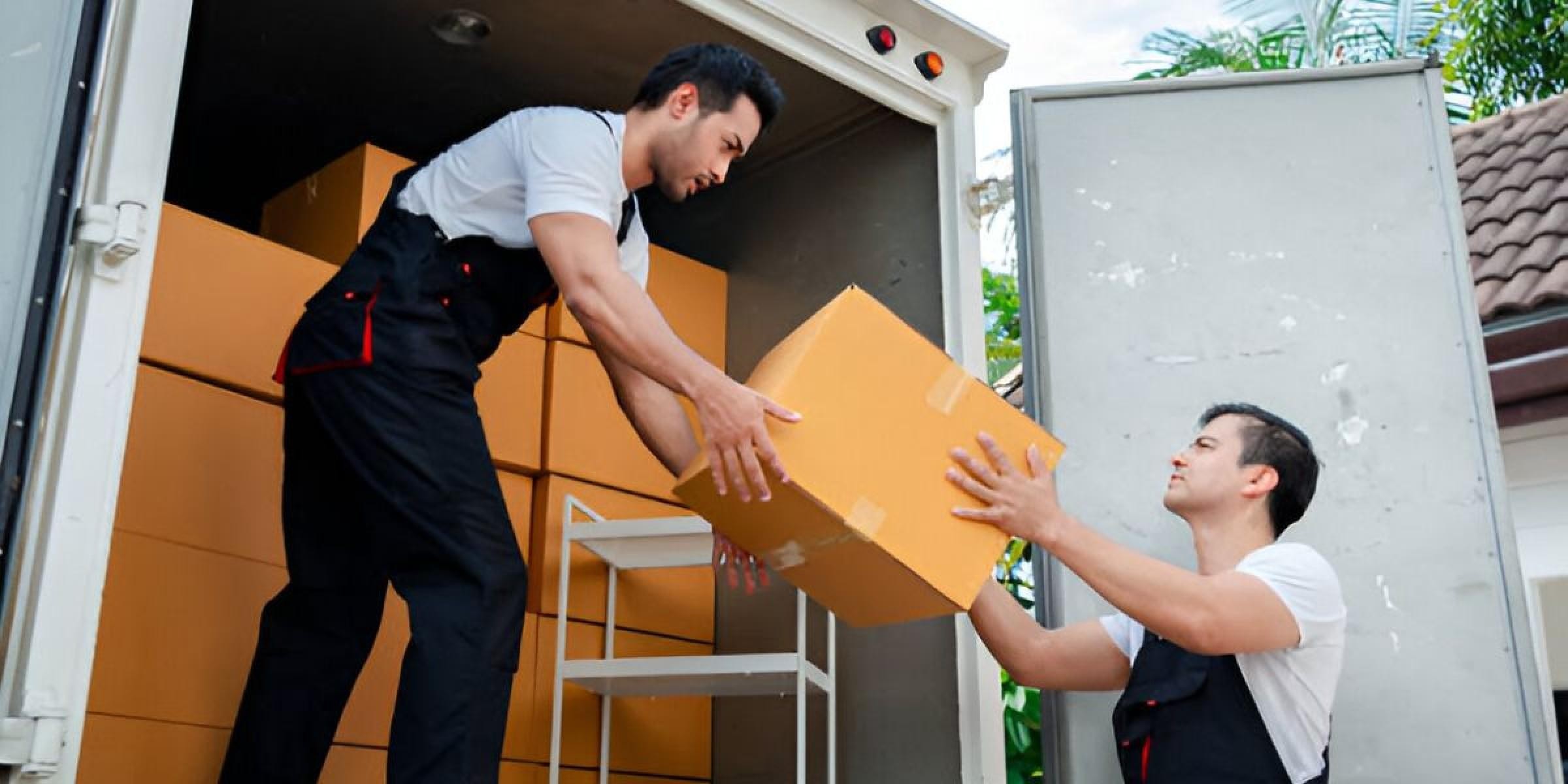 Furniture Removal Business For 674273 3