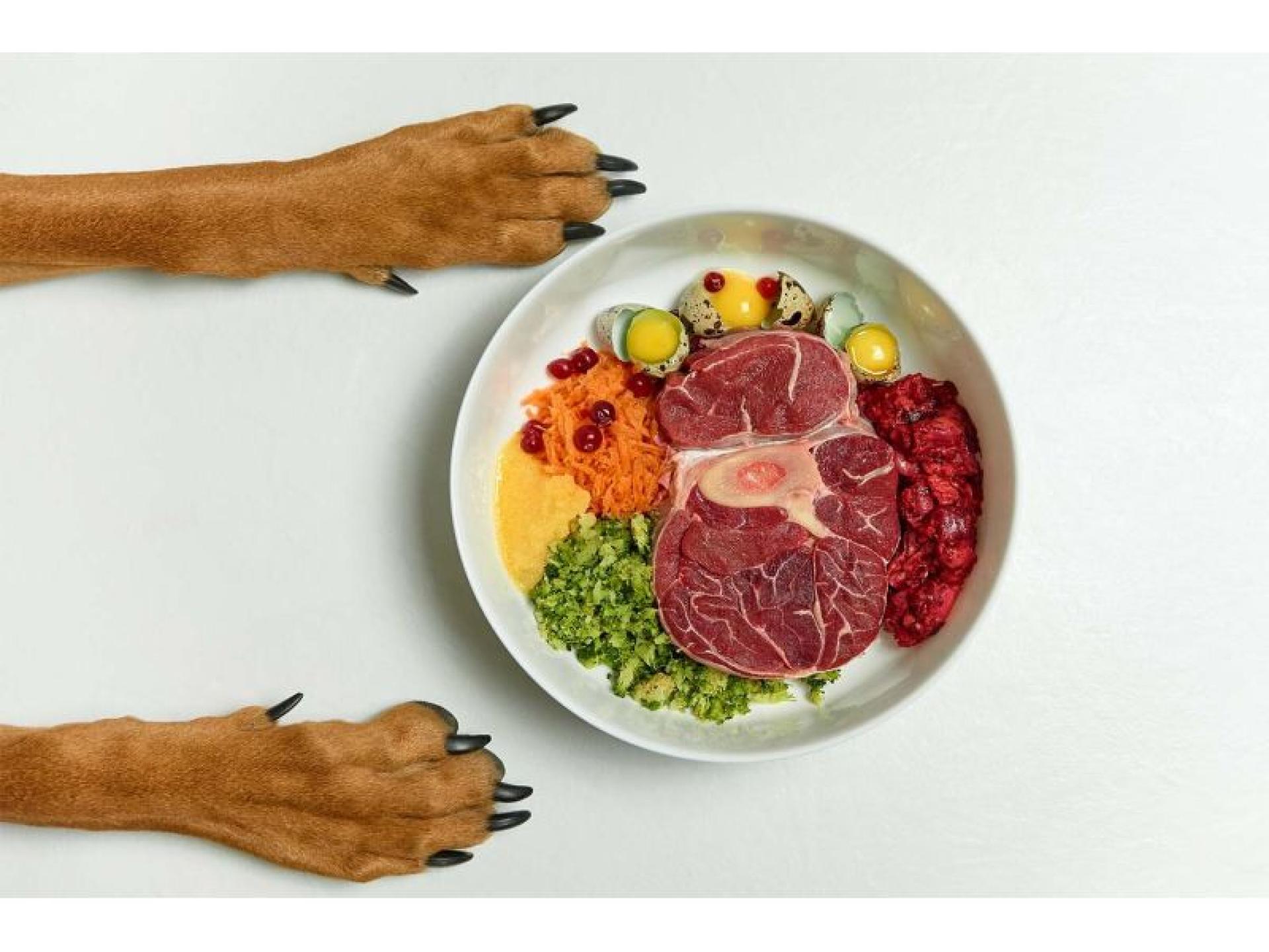 Fresh Pet Food & 674360 1