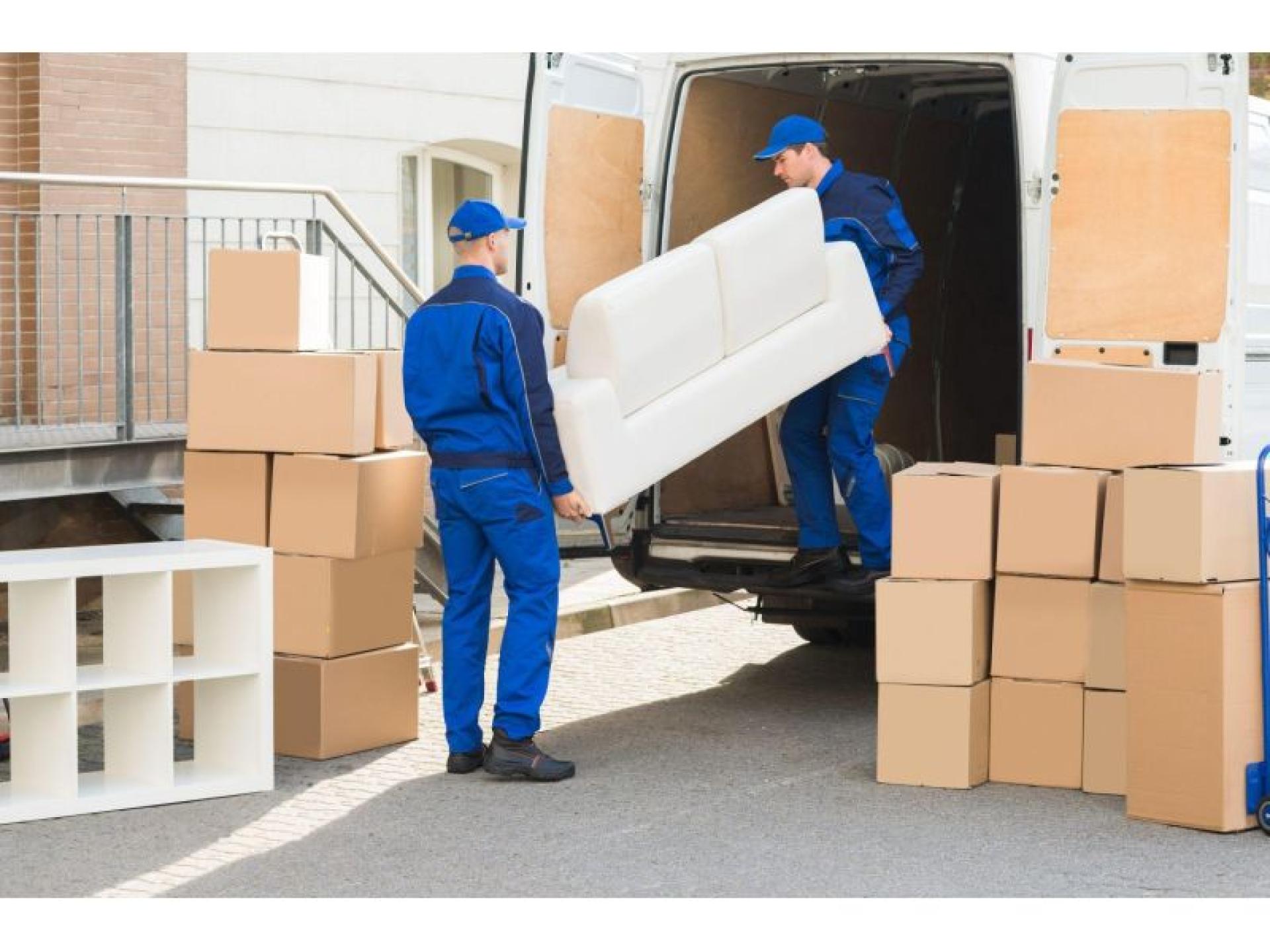 ​furniture Removal Business For 674364 3