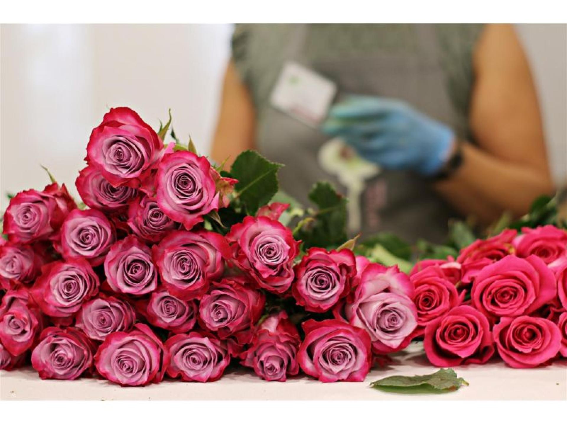 Long-established Florist & Gift 674397 3