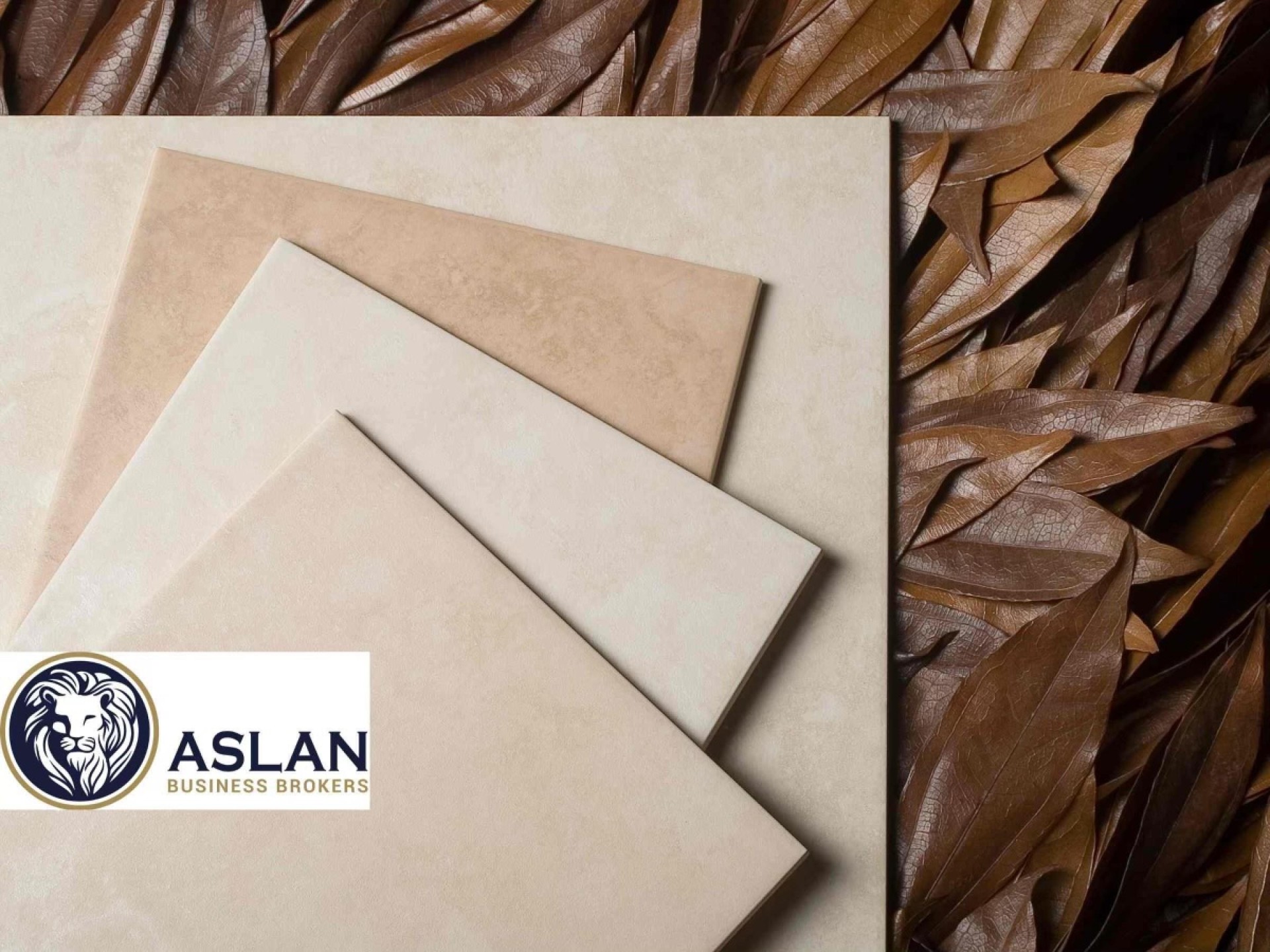 Tile Wholesale Business For 674683 2