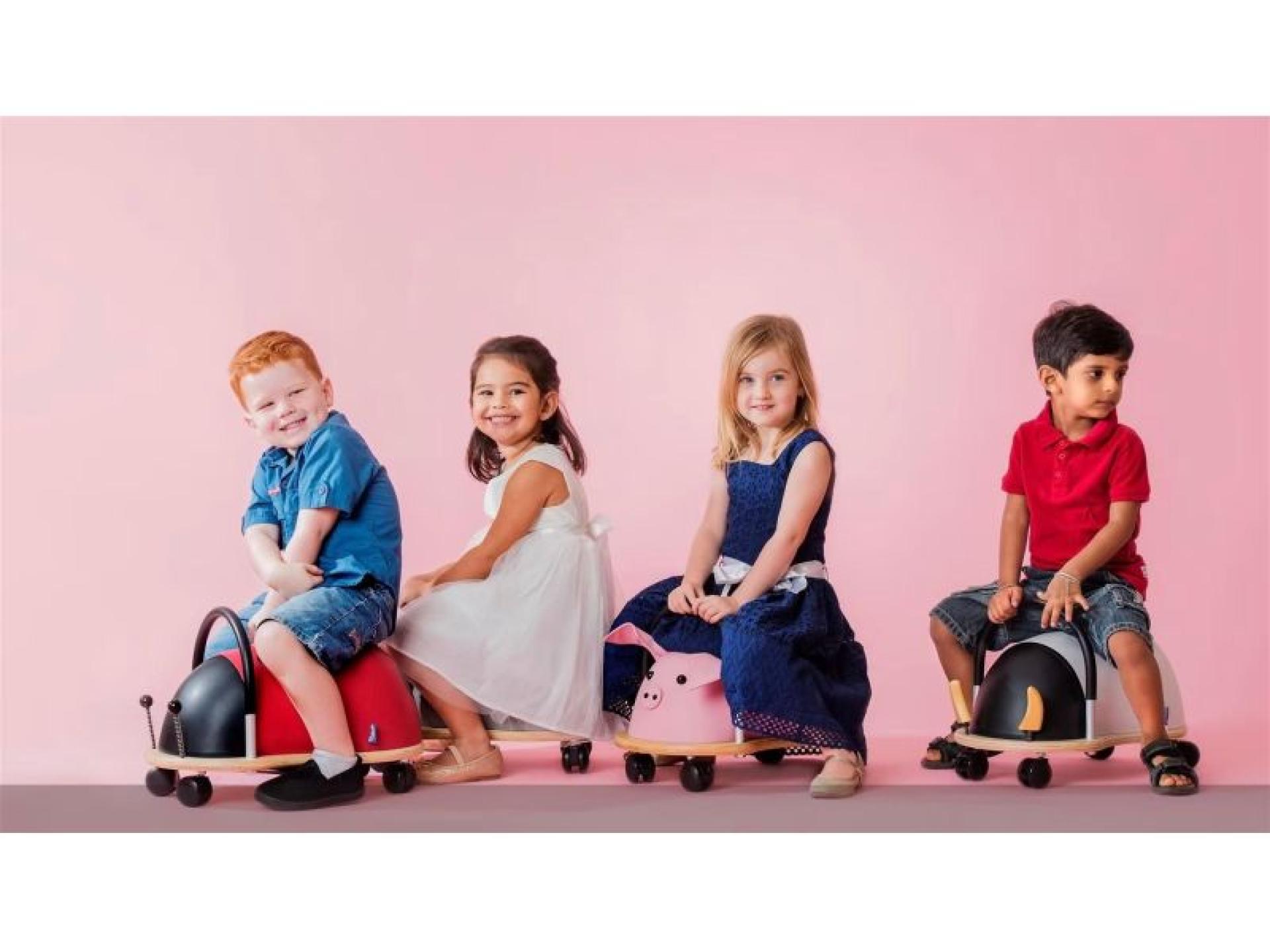 Wheely Bug Toys - 674772 1
