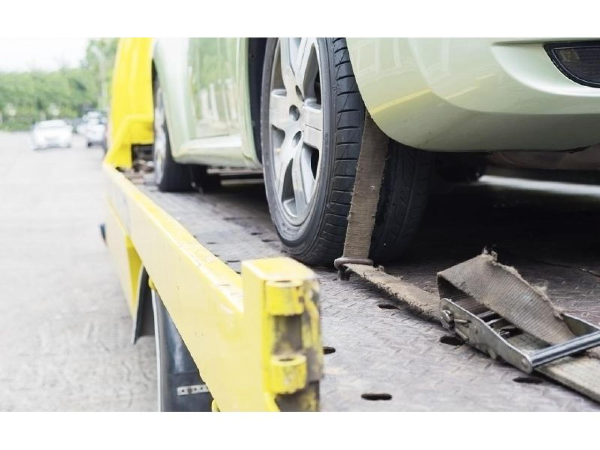 Long Established Mercantile Agency 674837 3