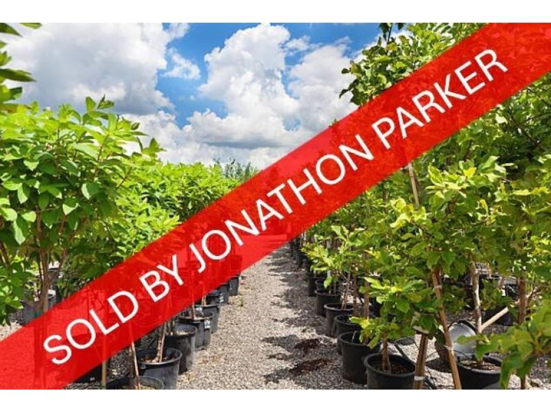 Sold - Well Established 674998 1