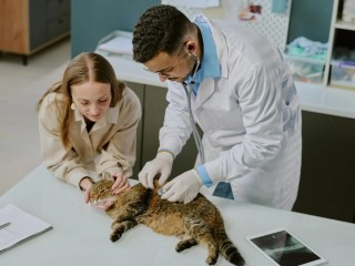 Established Veterinary Clinic with Huge Potential