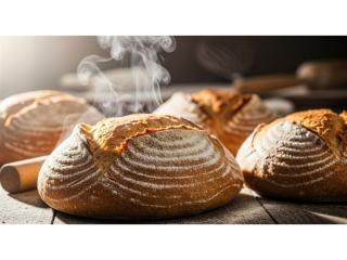 Profitable Bakery + Freehold  / Prime Sea Change Location!