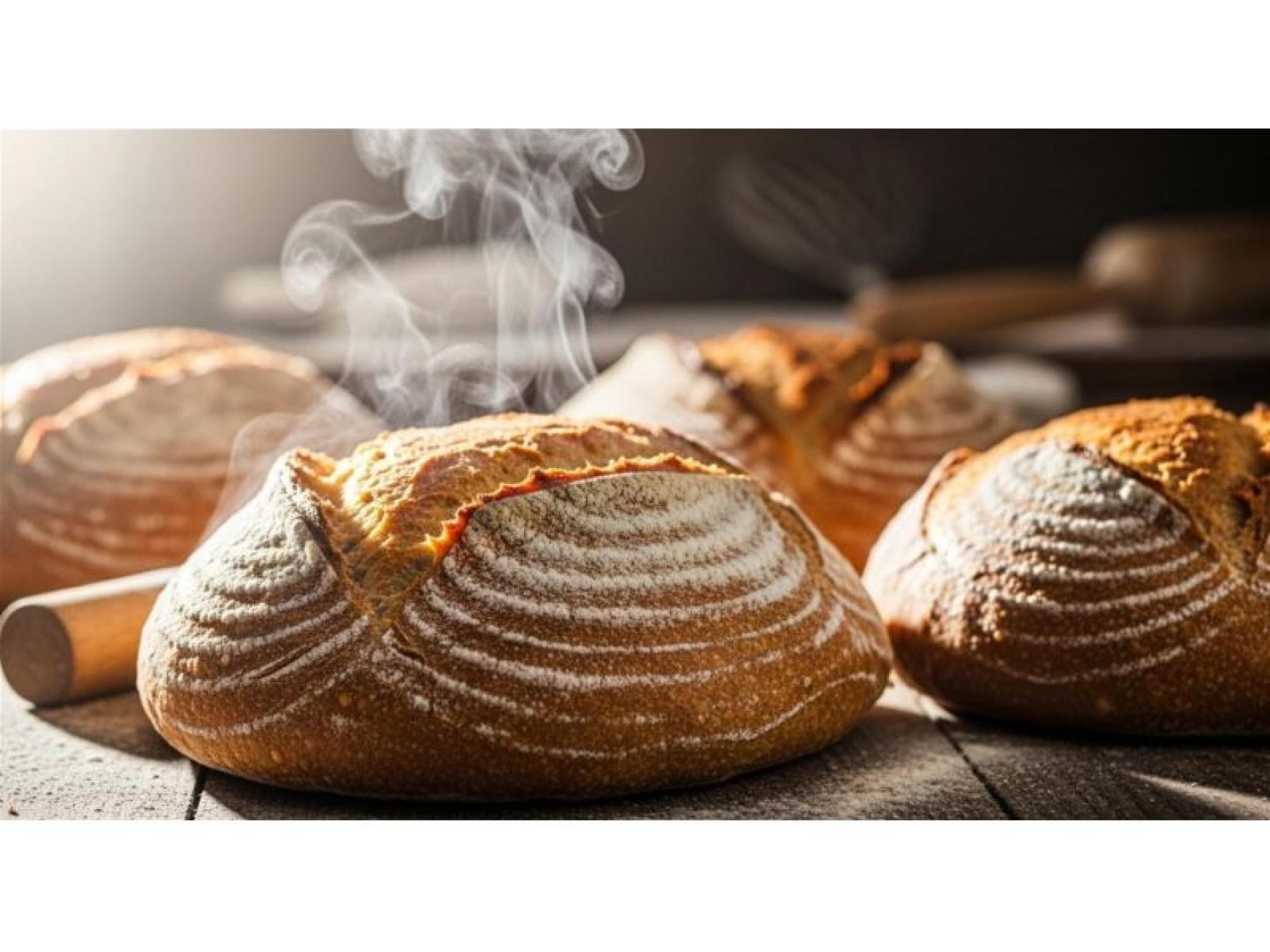 Profitable Bakery + Freehold 675172 1