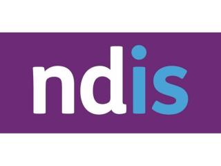 NDIS Business for Sale RS1576
