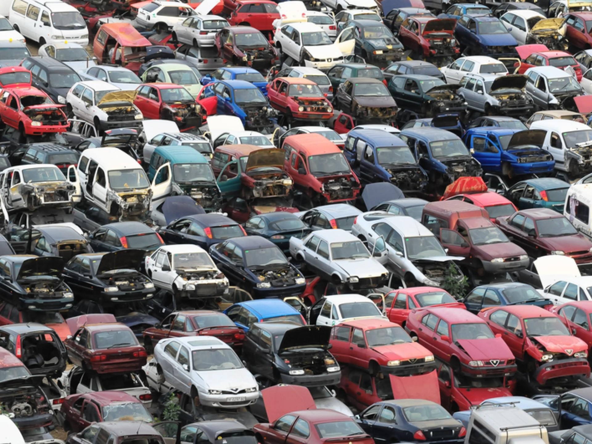 Long-running Automotive Services Business 675743 1