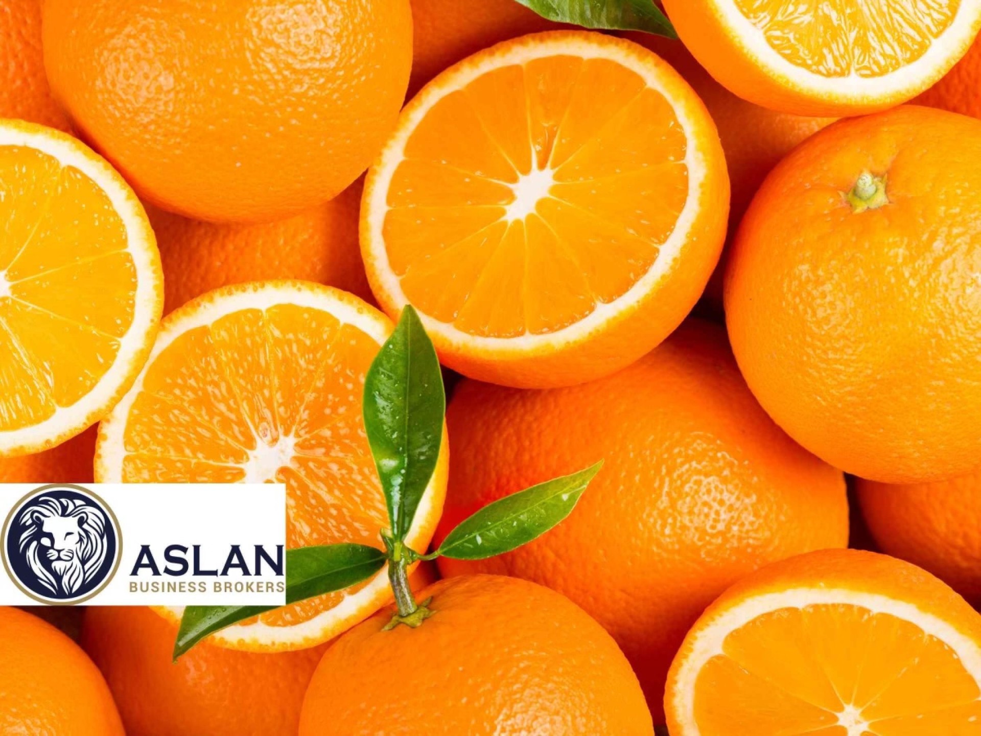 Fruit Veg & Fresh 675924 2