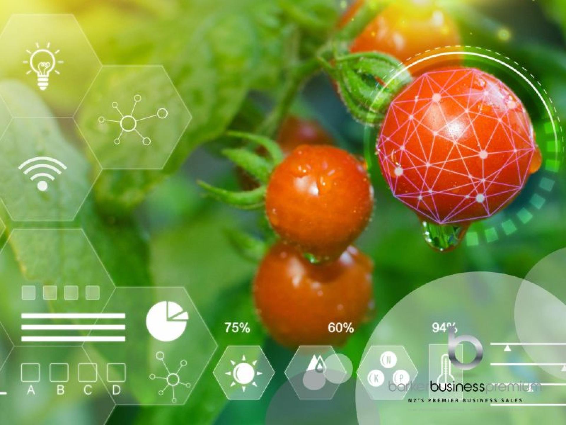 Global Food Safety Saas 675998 1