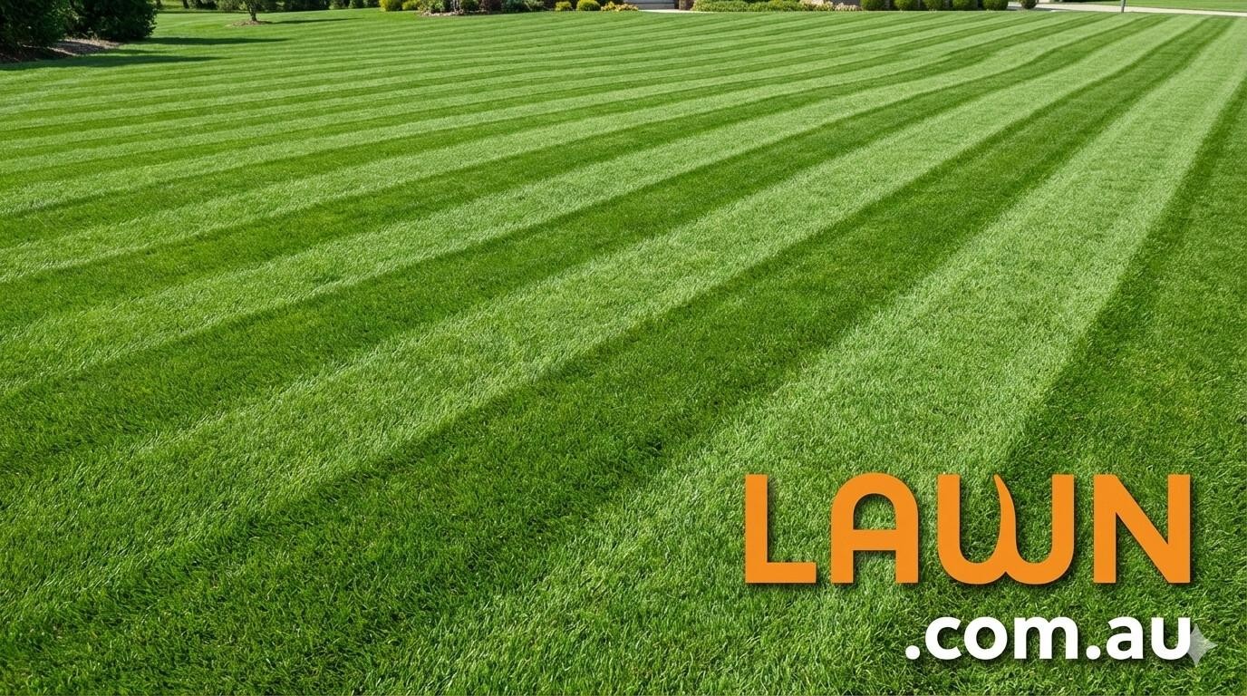 Nationally Ndis Registered Lawn 676029 1