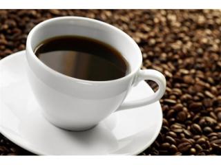 Coffee Shop / Espresso Bar