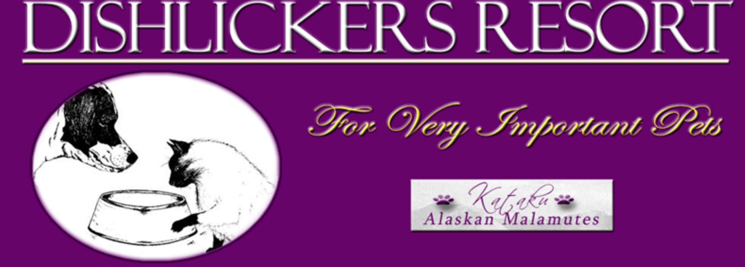 Premium Pet Boarding & 676084 2