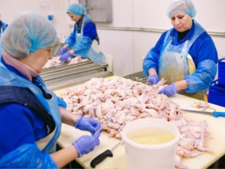 Fresh Meat Processing & Distribution Business