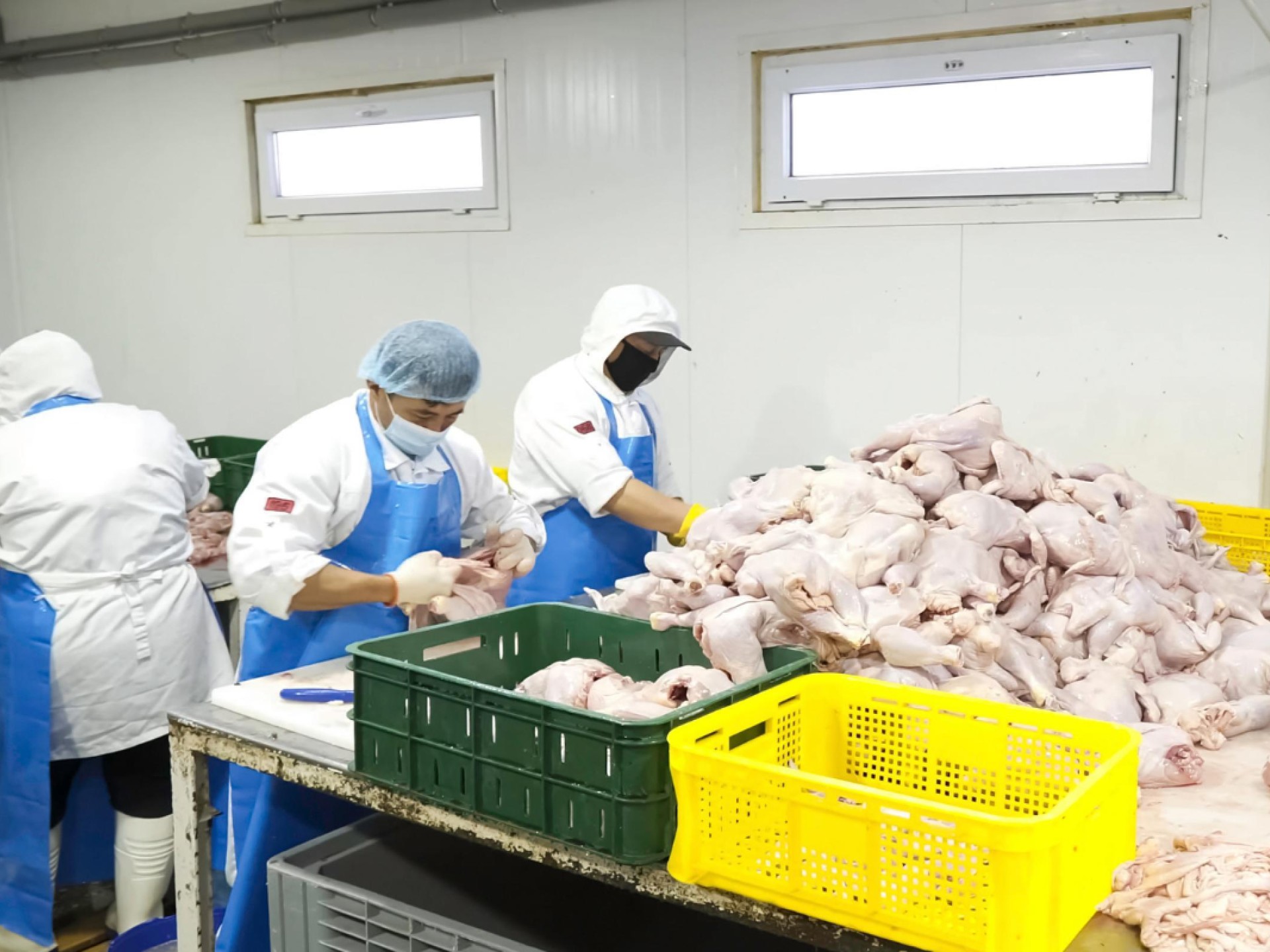 Fresh Meat Processing & 676105 2