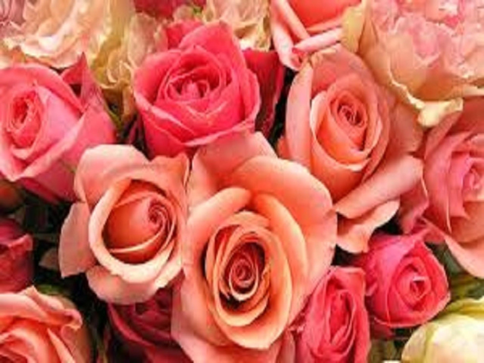 Exceptional Florist Online And 676311 3