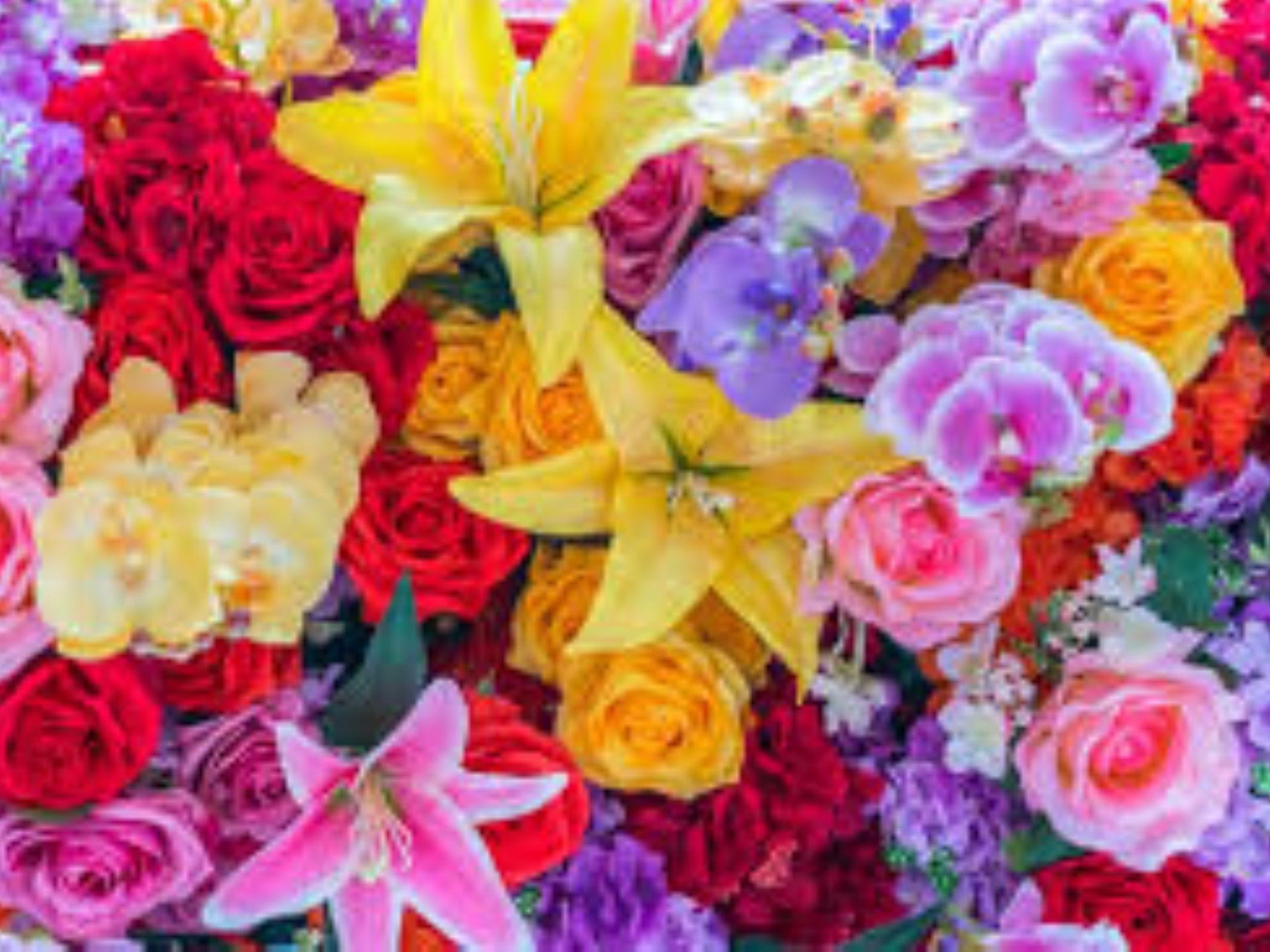 Exceptional Florist Online And 676311 2
