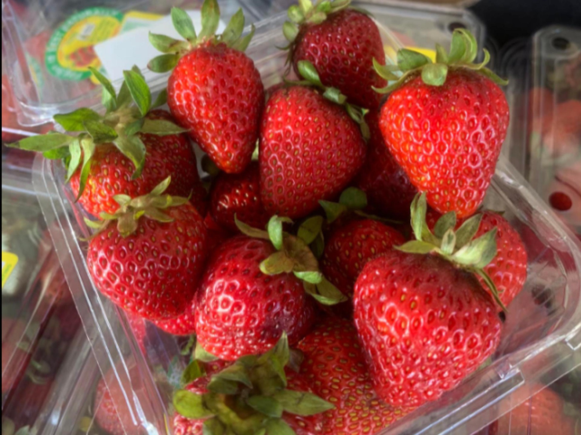 Fruitful Opportunity Newly Renovated 676320 3