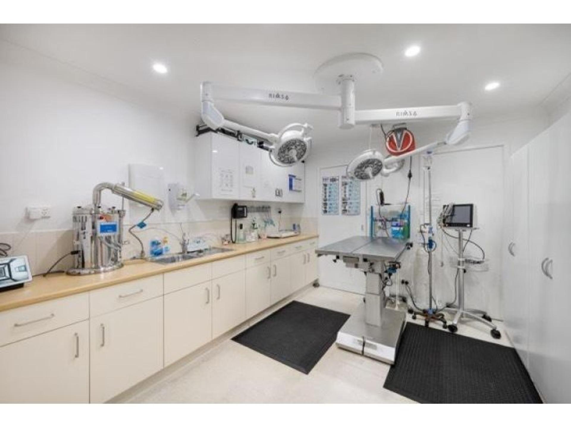 Highlands Veterinary Hospital –southern 676356 3
