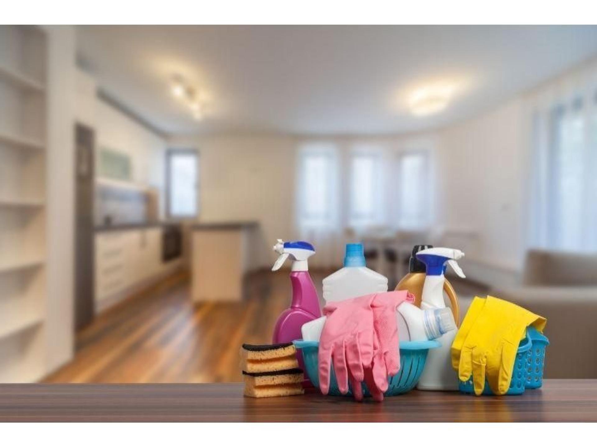 Contract Cleaning Business - 676401 1