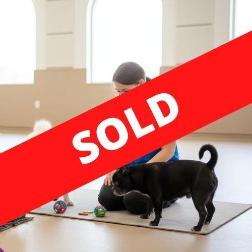 Sold - 36522 Profitable 676459 1
