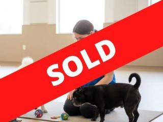 SOLD - 36522 Profitable Dog Daycare Business with Strong Client Retention