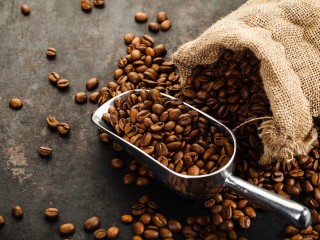 "Specialty Coffee Café Opportunity in Maryborough, QLD"