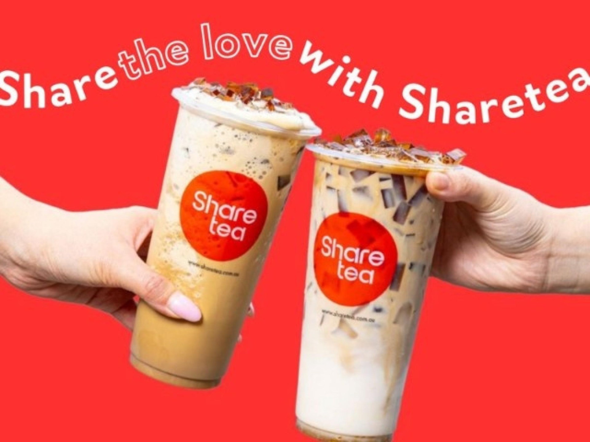 Sharetea Bubble Tea Franchise 676725 3
