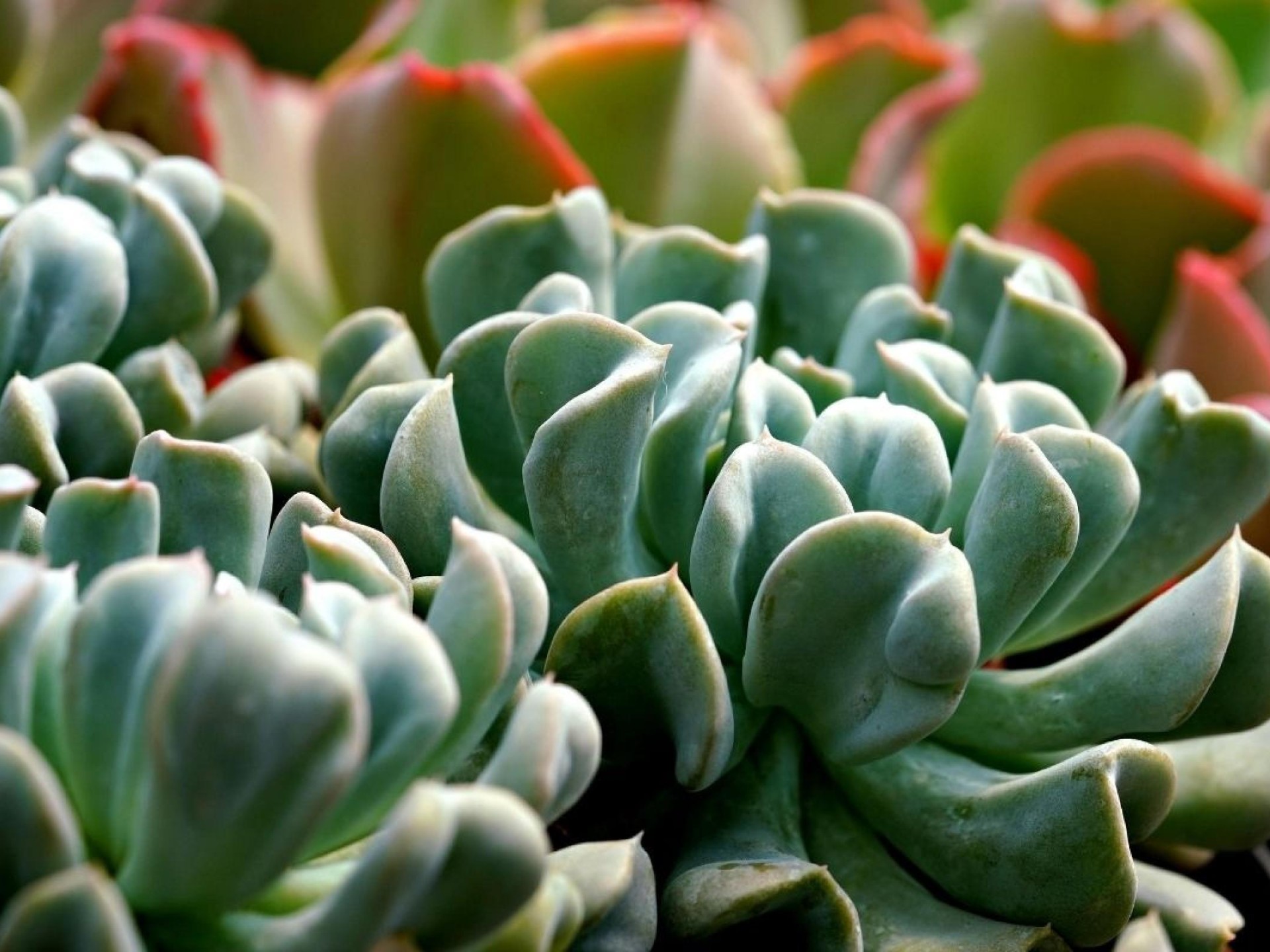 Protective Membrane Specialist T/o 676749 2