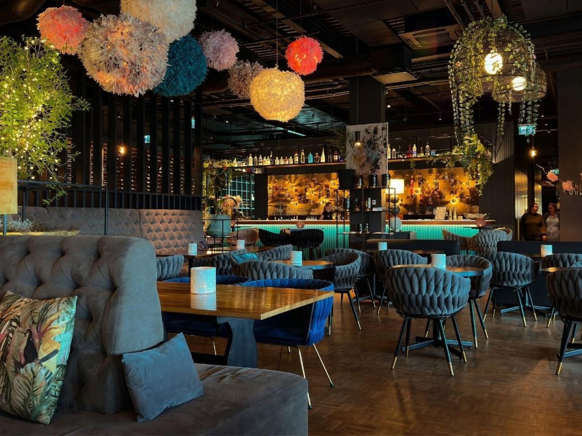 Premium Importer & Retailer 676994 1