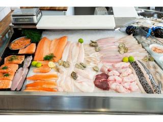 Well-Established Seafood Retailer in Premium Inner-City Location