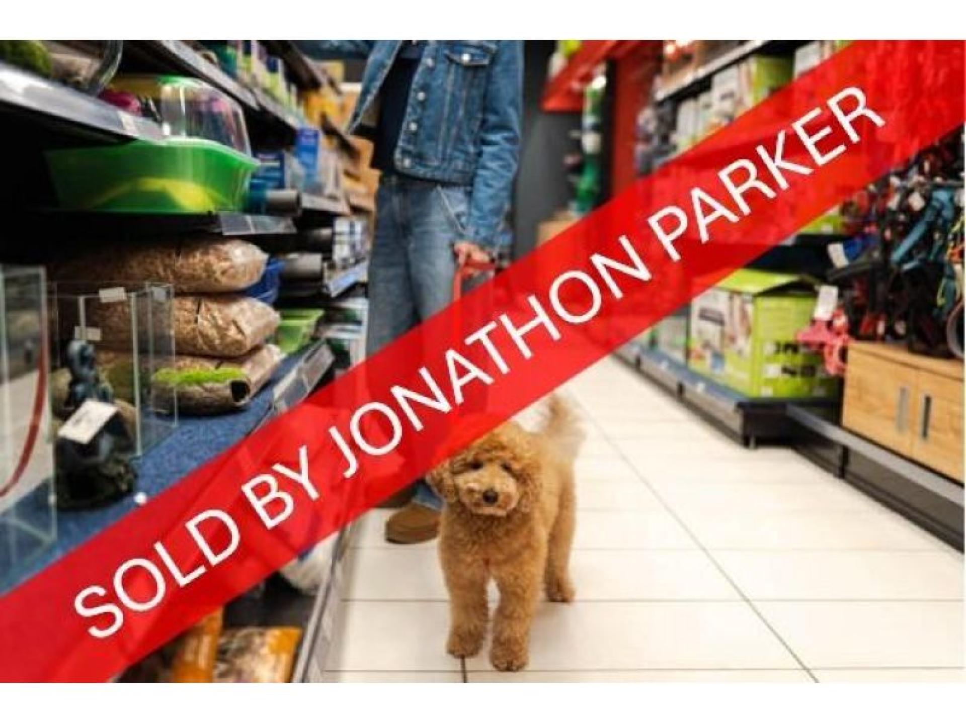 Sold - Established Pet 677171 1