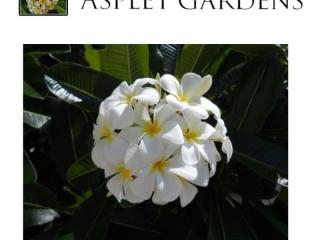 MANAGEMENT RIGHTS BUSINESS - ASPLEY GARDENS RETIREMENT (OVER 50'S) VILLAGE