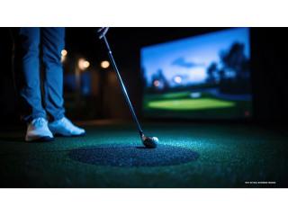 Indoor Golf Business for Sale – Silverwater, NSW