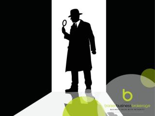 Digital Detective Goldmine, Lifestyle Business