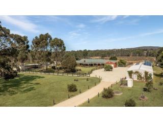 Escape the City. Bring Your Income With You.
Established Boarding Kennel Business + Home + 45 Acres