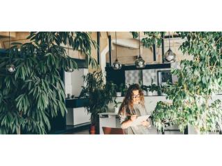 High-Margin Plant Service Business