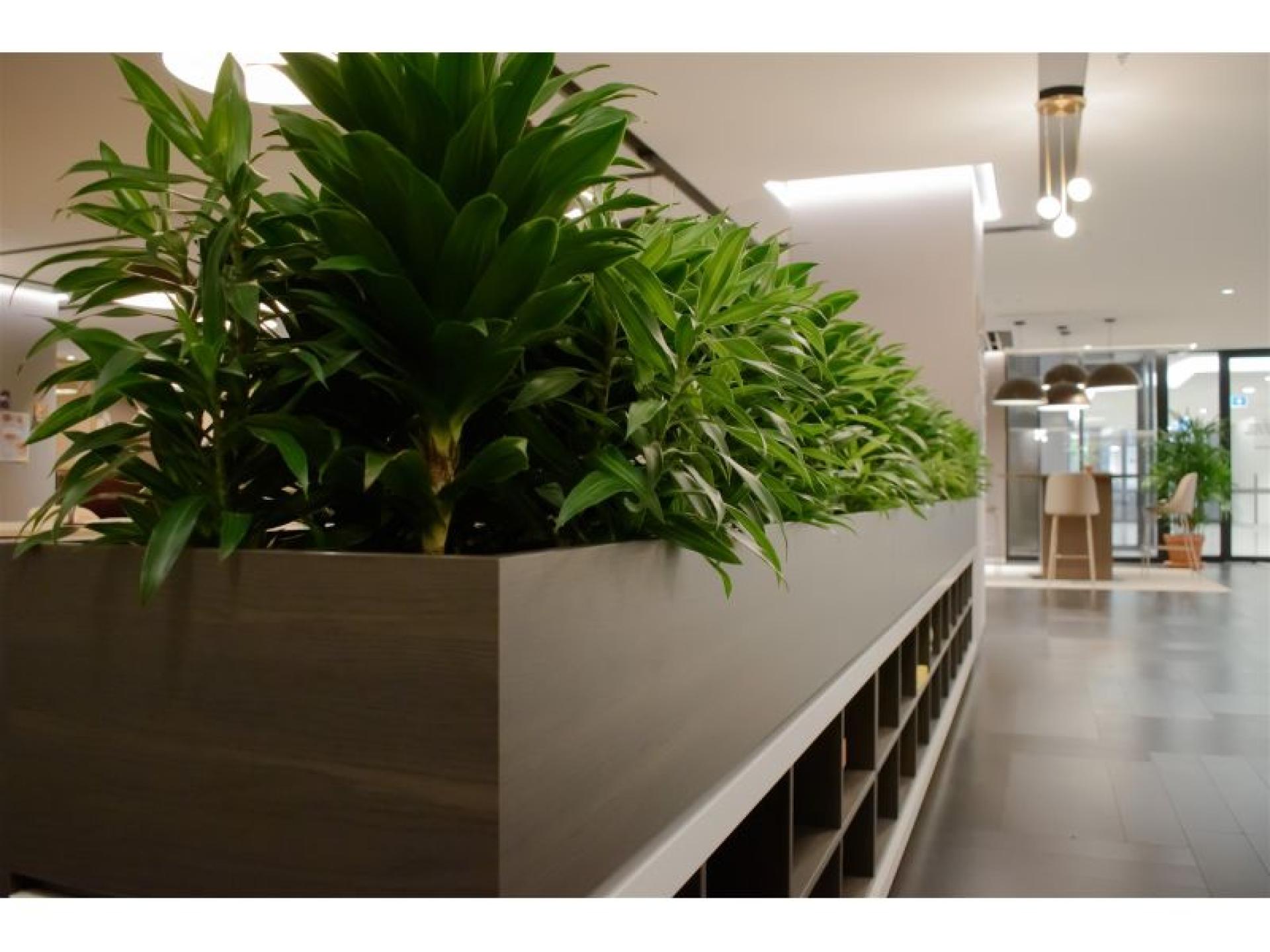 High-margin Plant Service Business 677608 2