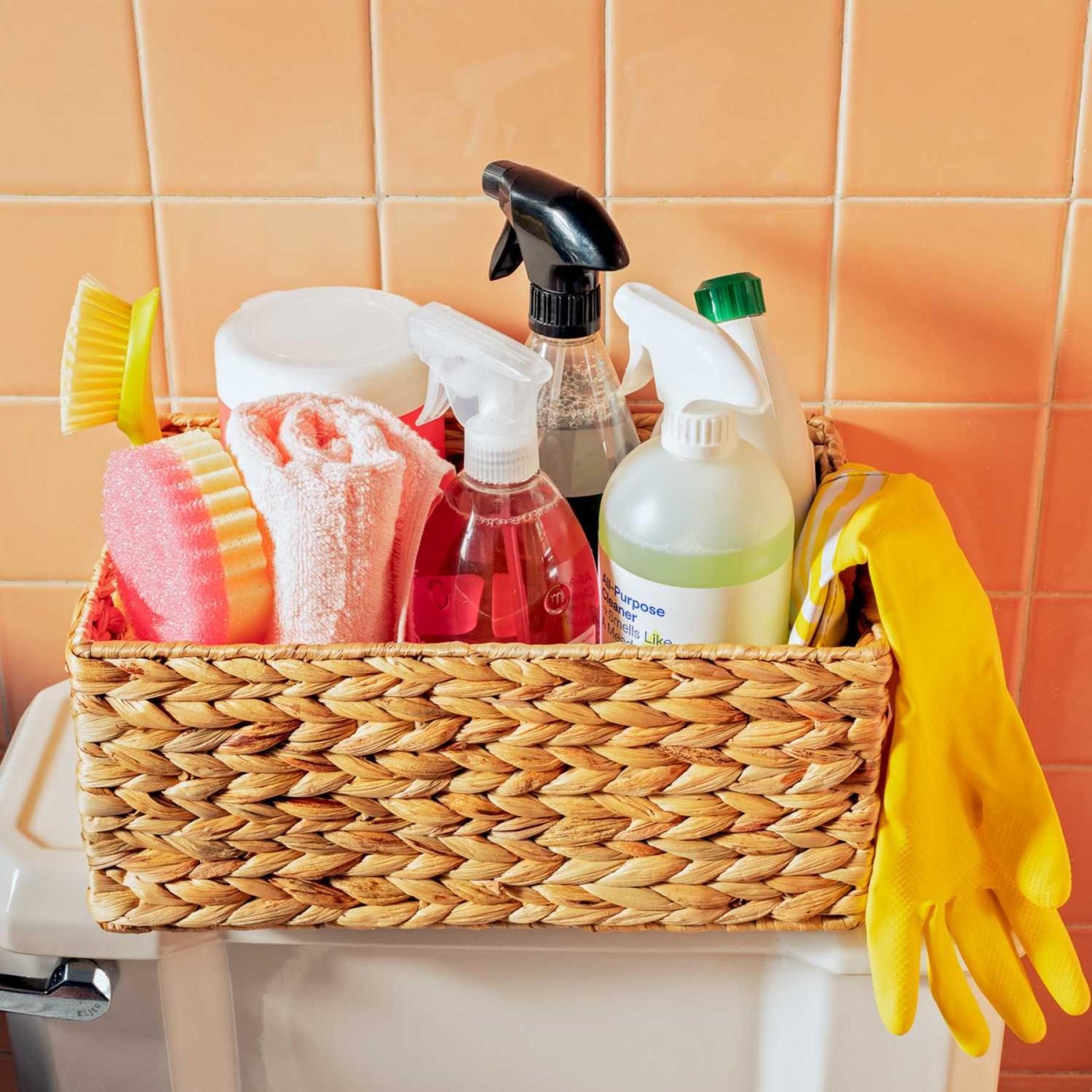 Established Profitable Cleaning Business 677885 2