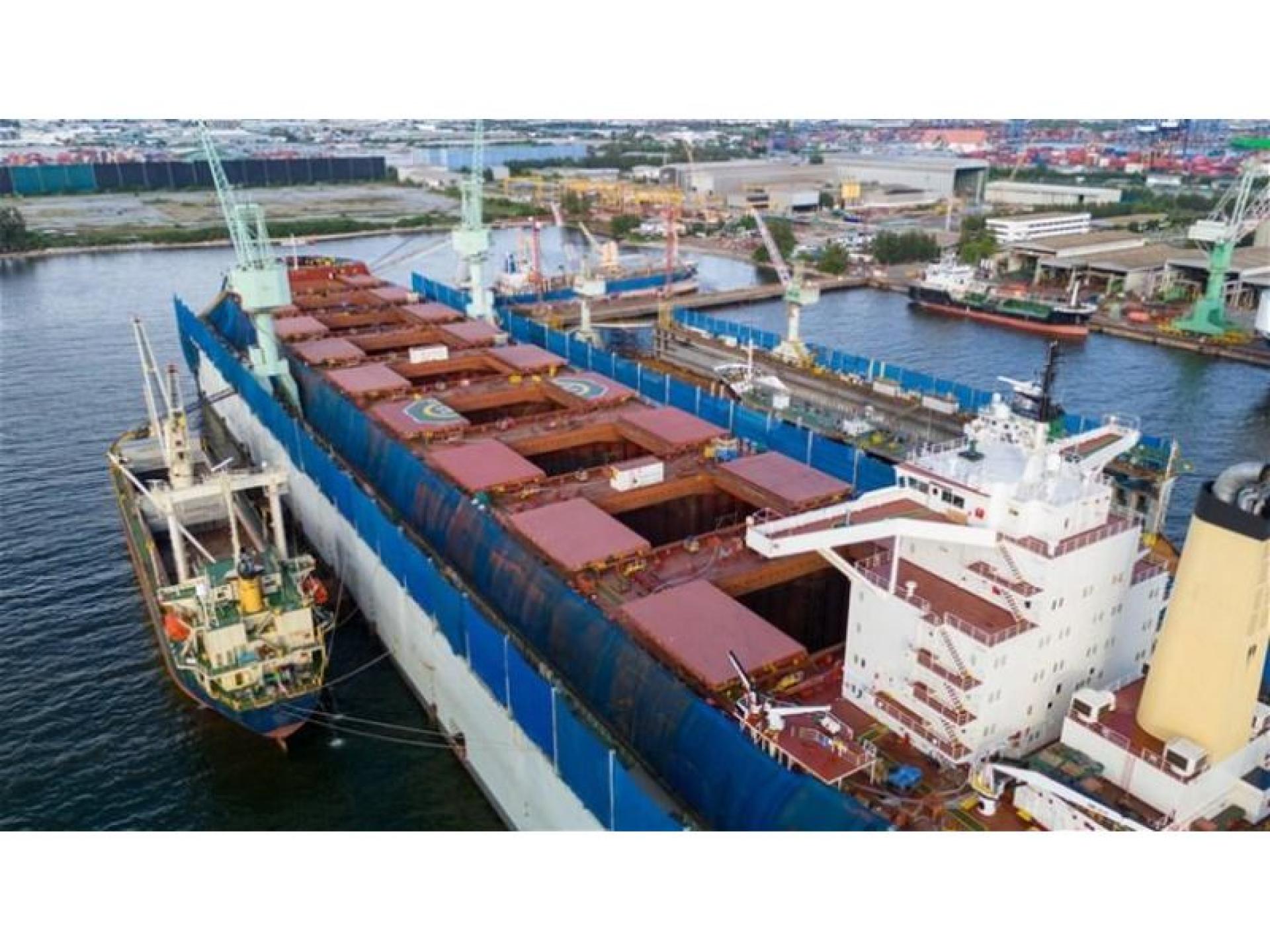 Thriving Export Services Business 678015 1
