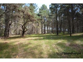 SUGARLOAF - 5 ACRE EX-FORESTRY BLOCK WITH REMAINS OF BEAUTIFUL OLD PINE FOREST