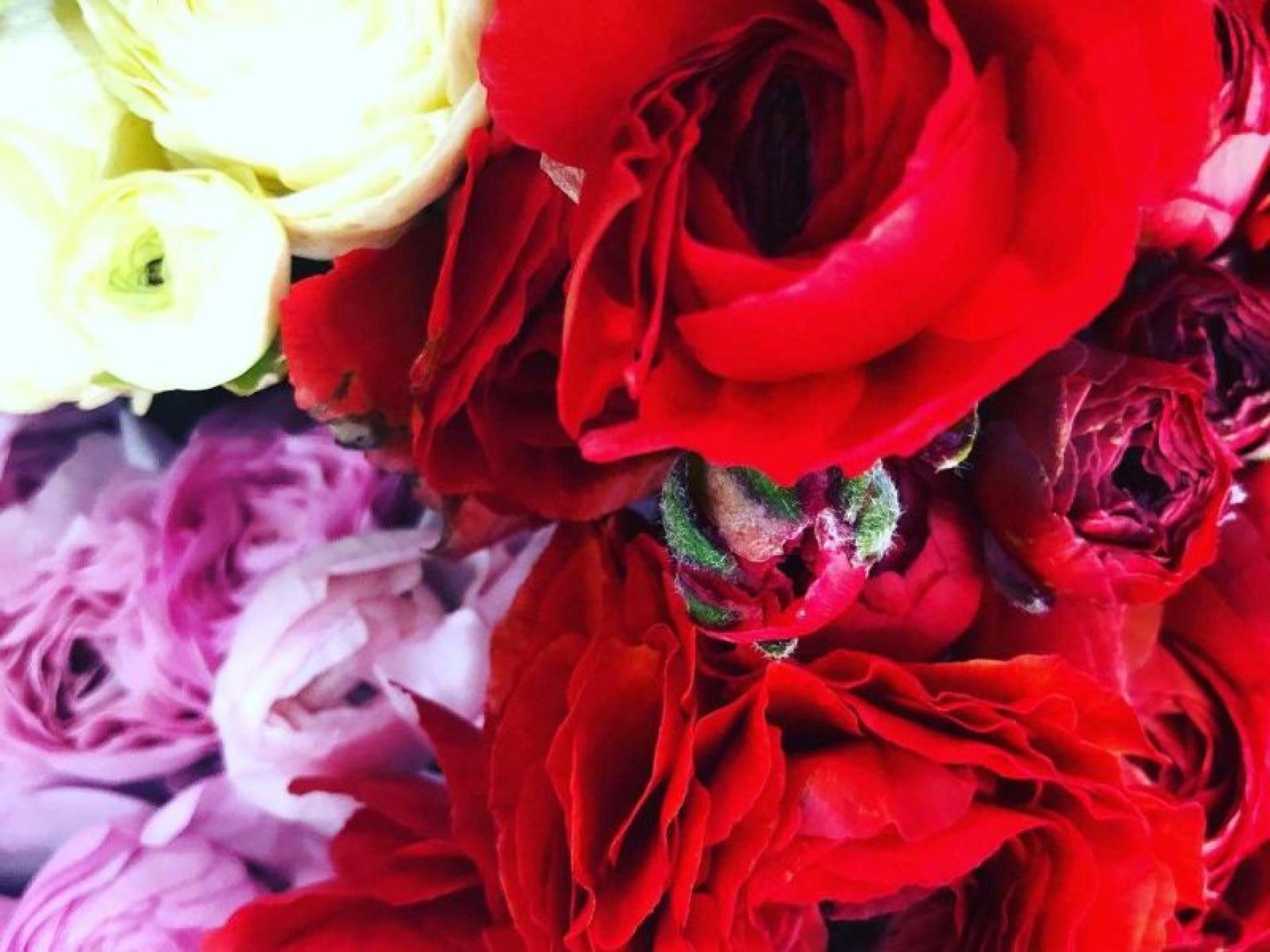 Oakleighs Iconic Florist Nursery 678298 2