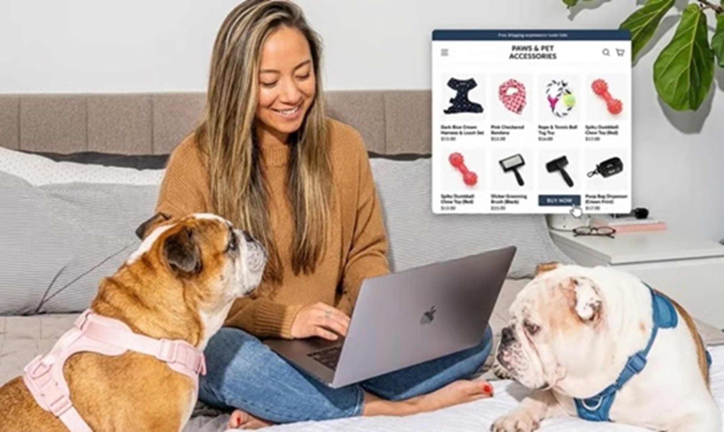 Well‑established Online Dog Accessories 678388 2