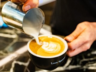 Little Sparrow Cafe - Fully Managed- No Kitchen - High Profits !!!
