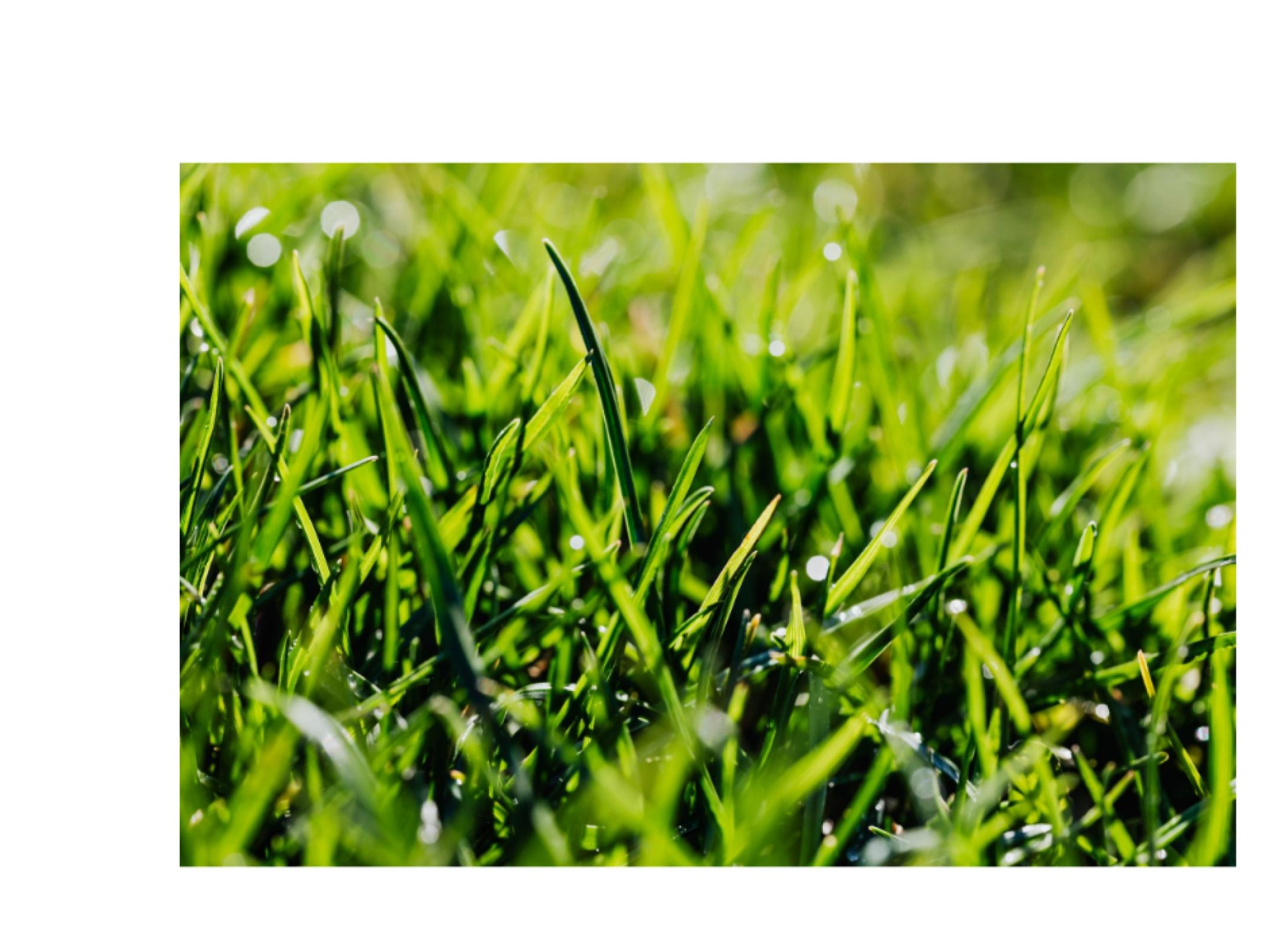 Mowing And Garden Crae- 678452 2