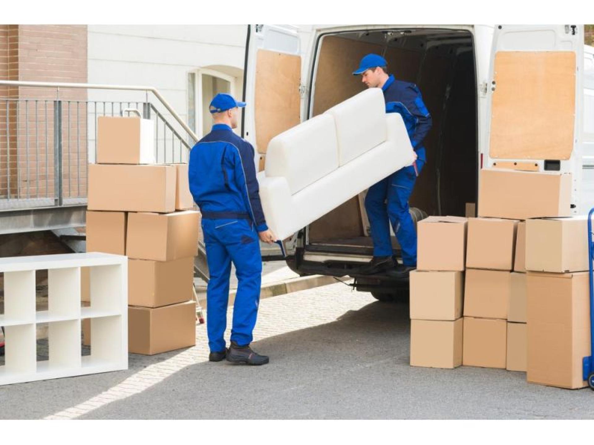 Established Removalist & Transport 678781 1
